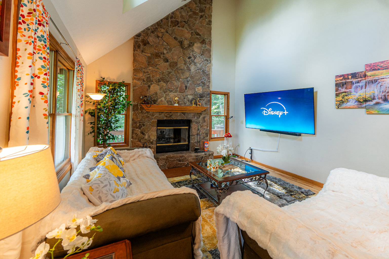 Davis Vacation Rental