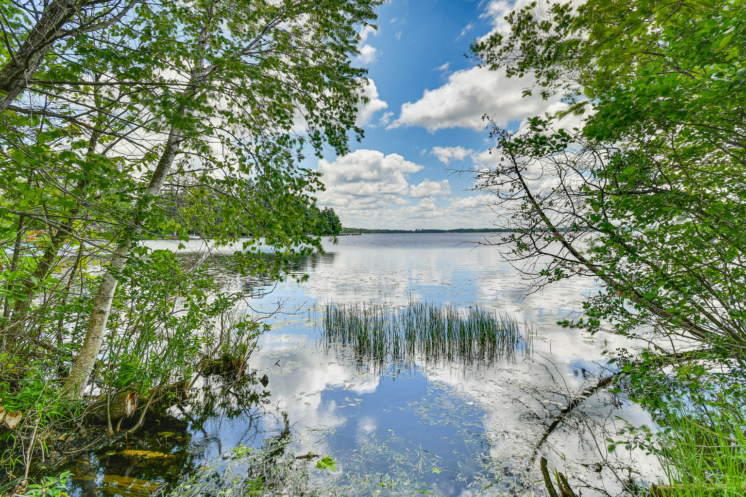 Mancelona Vacation Rental