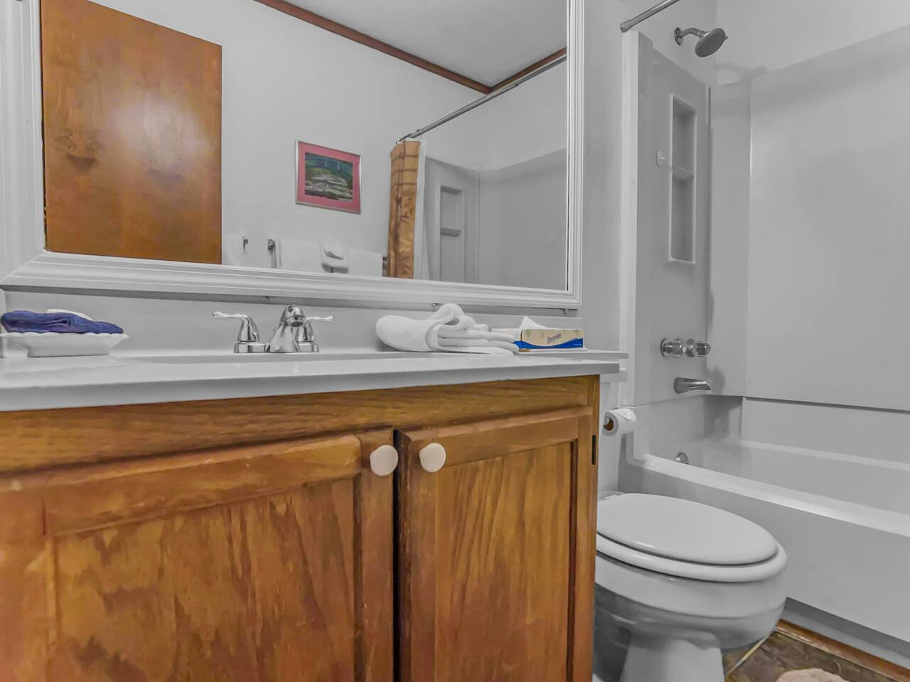 Snowshoe Vacation Rental