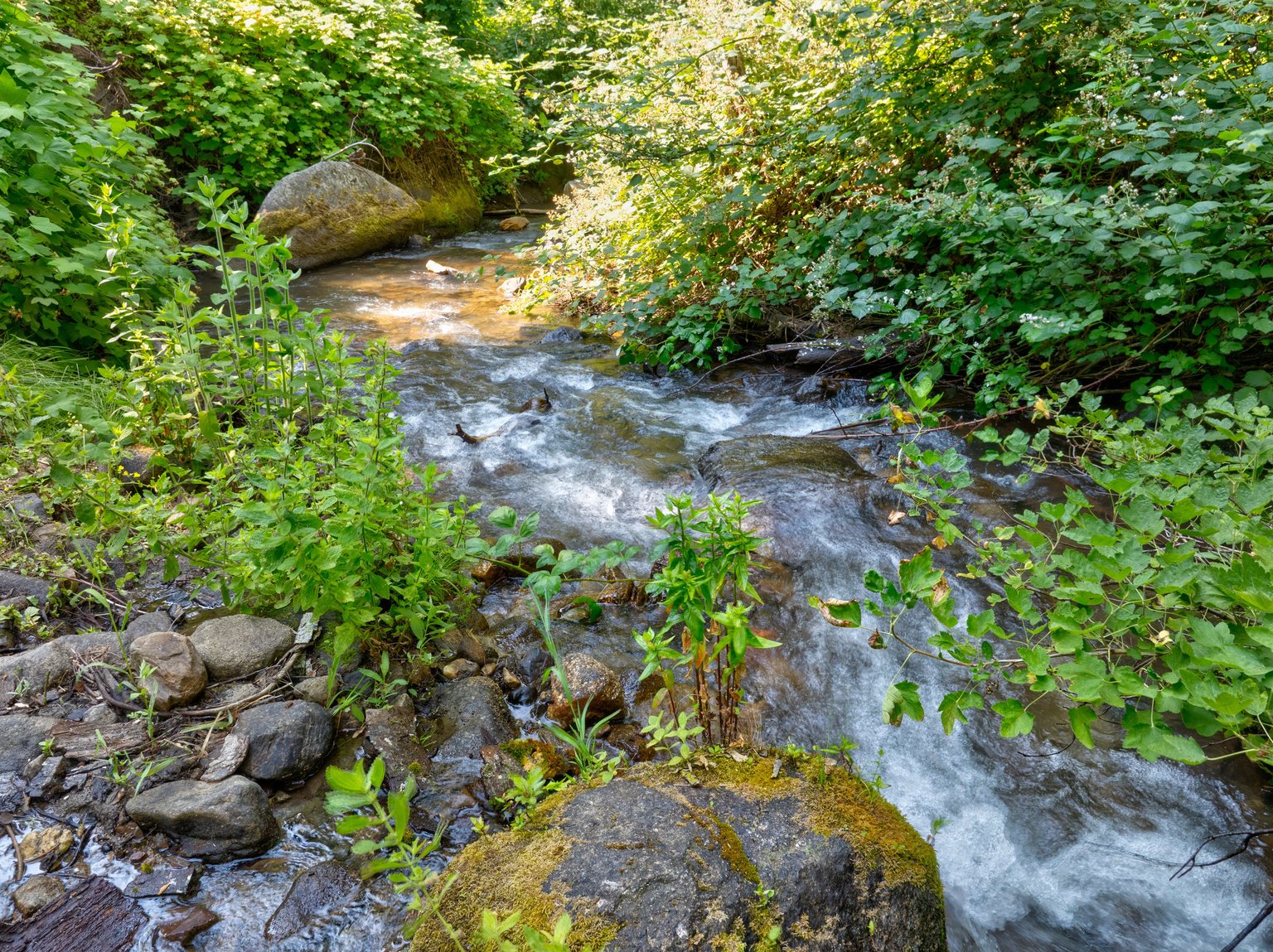 Oakhurst Vacation Rental