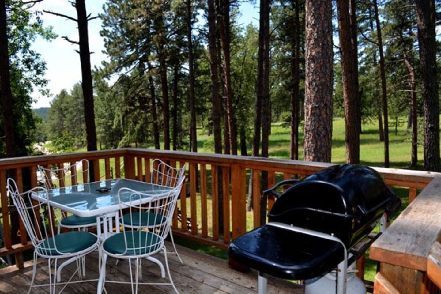 Rapid City Vacation Rental