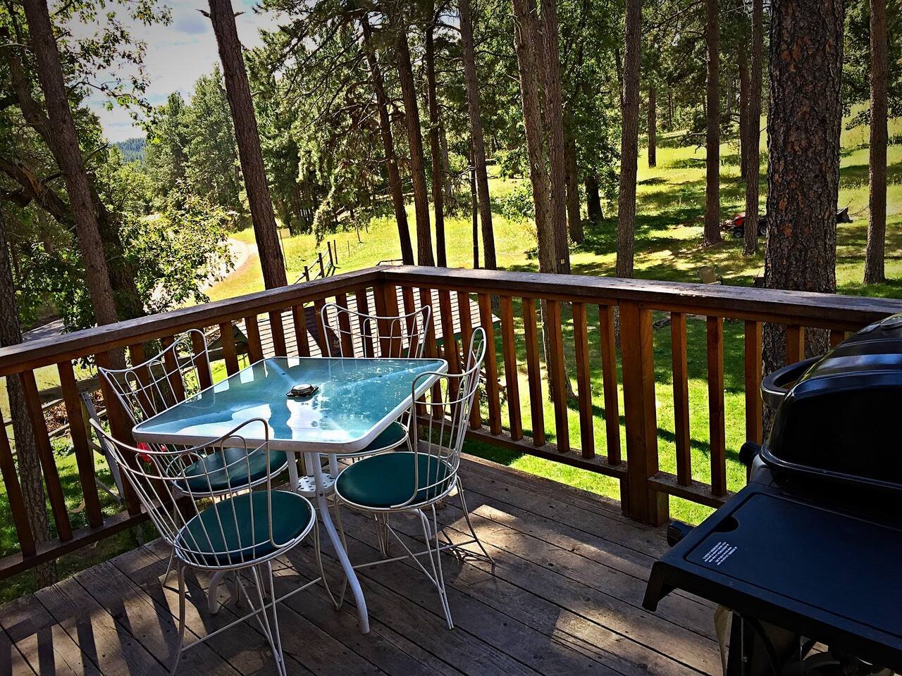 Rapid City Vacation Rental