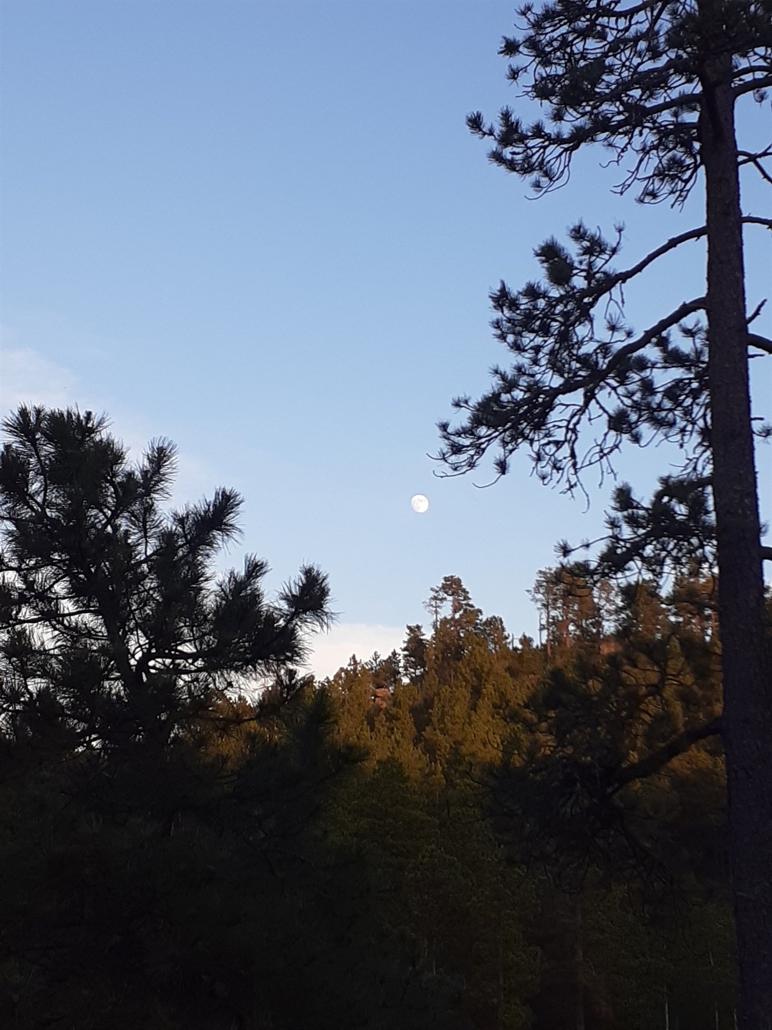 Rapid City Vacation Rental