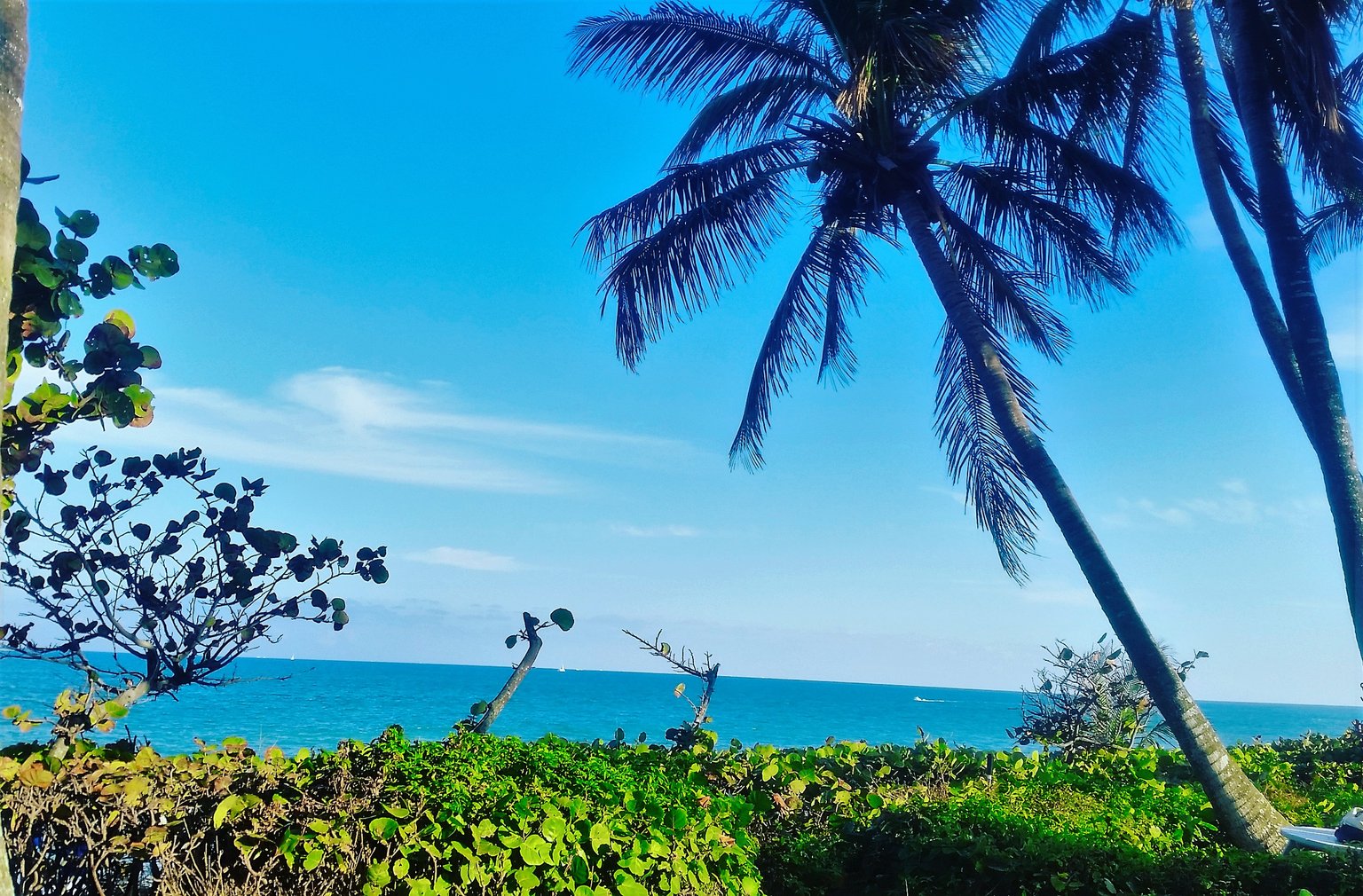 Jupiter Vacation Rental