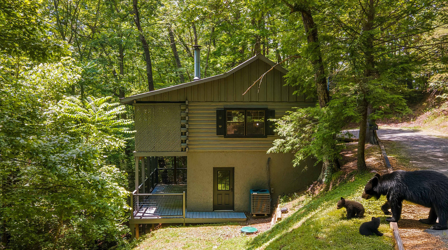 Sevierville Vacation Rental