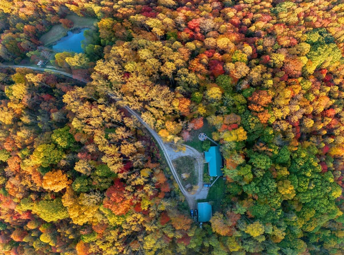 Laurelville Vacation Rental