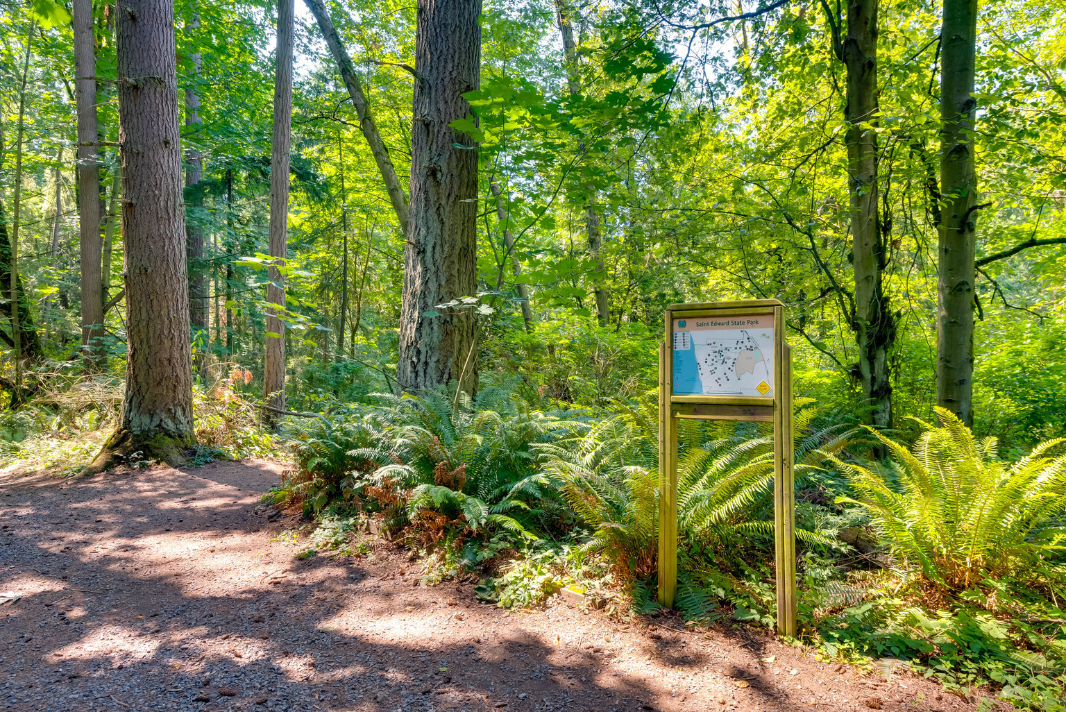 Kenmore Vacation Rental