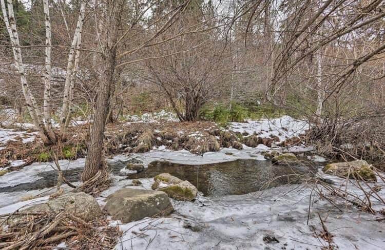 Keystone Vacation Rental