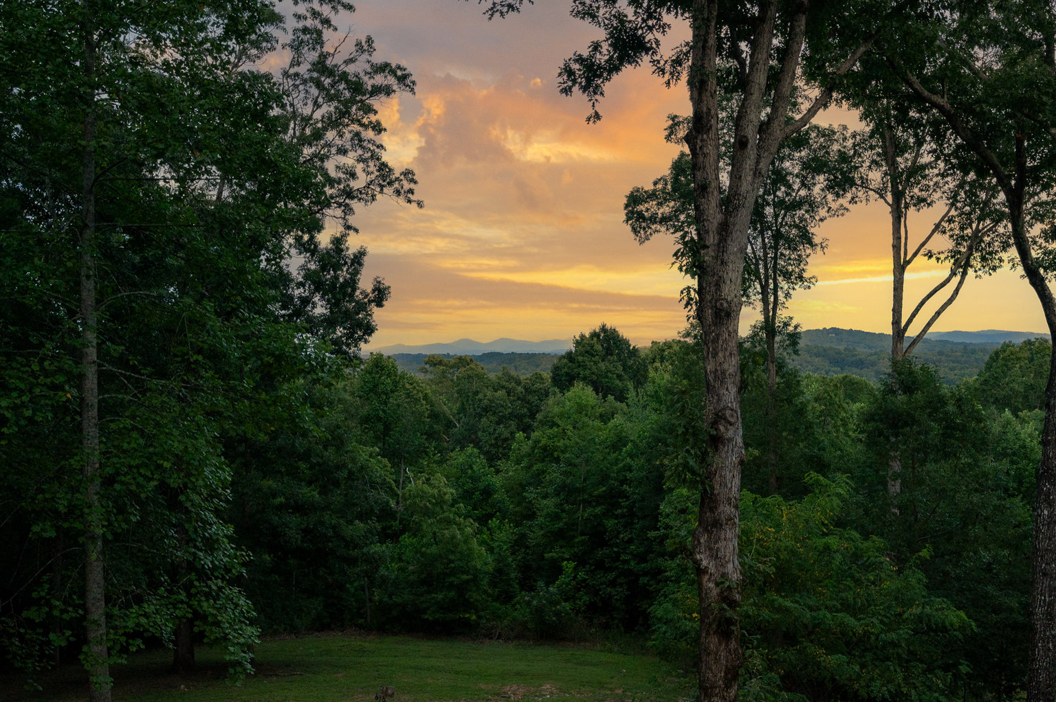 Blue Ridge Vacation Rental