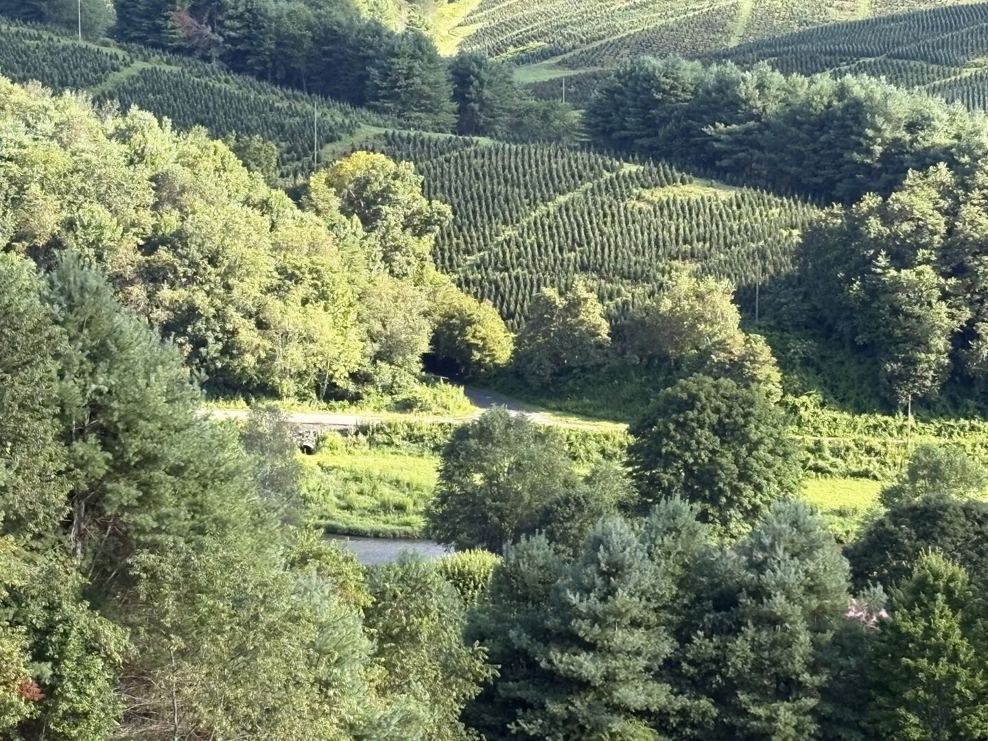 Todd Vacation Rental