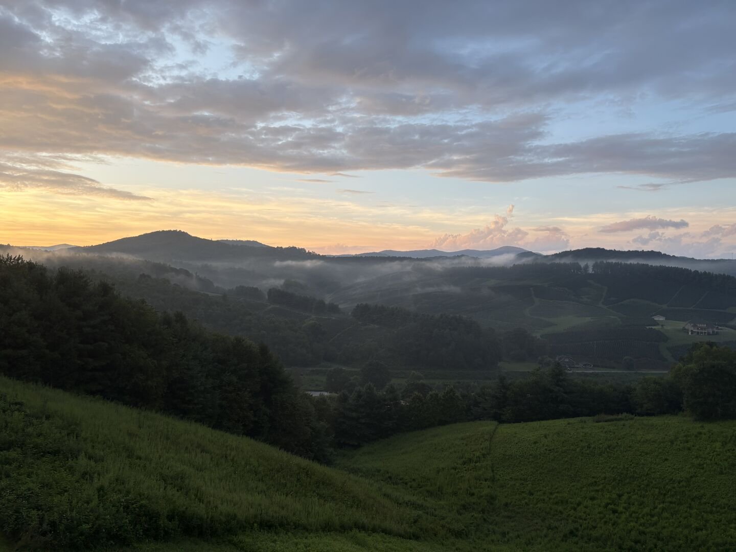 Todd Vacation Rental