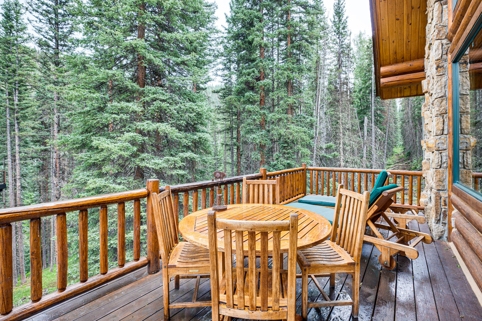 Mountain Village Vacation Rental