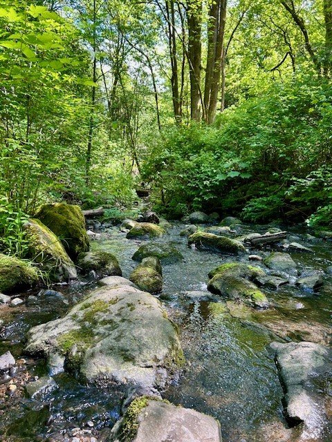 Seattle Vacation Rental