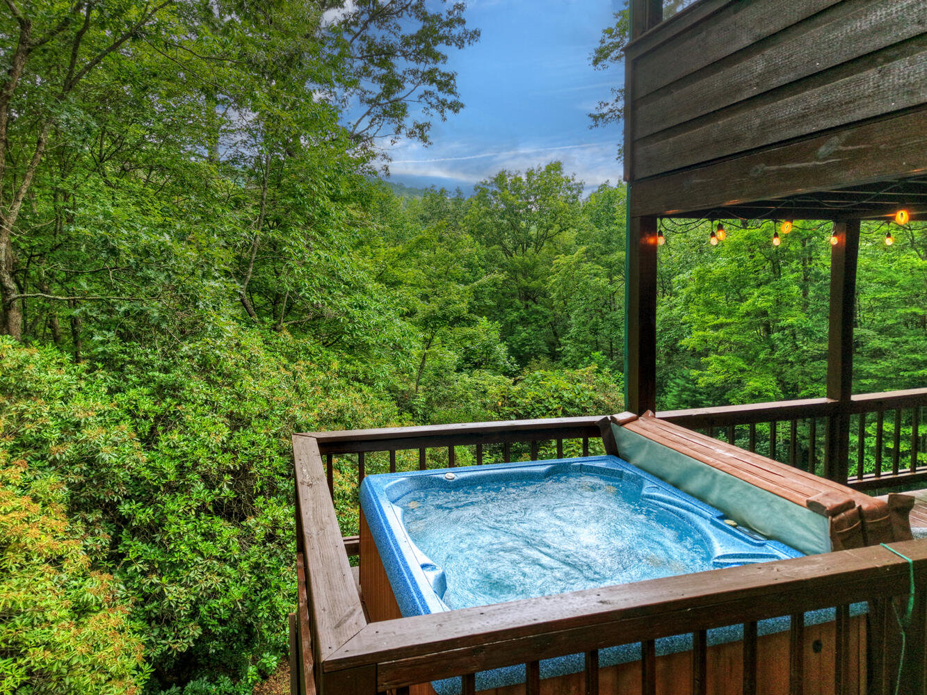 Cherry Log Vacation Rental