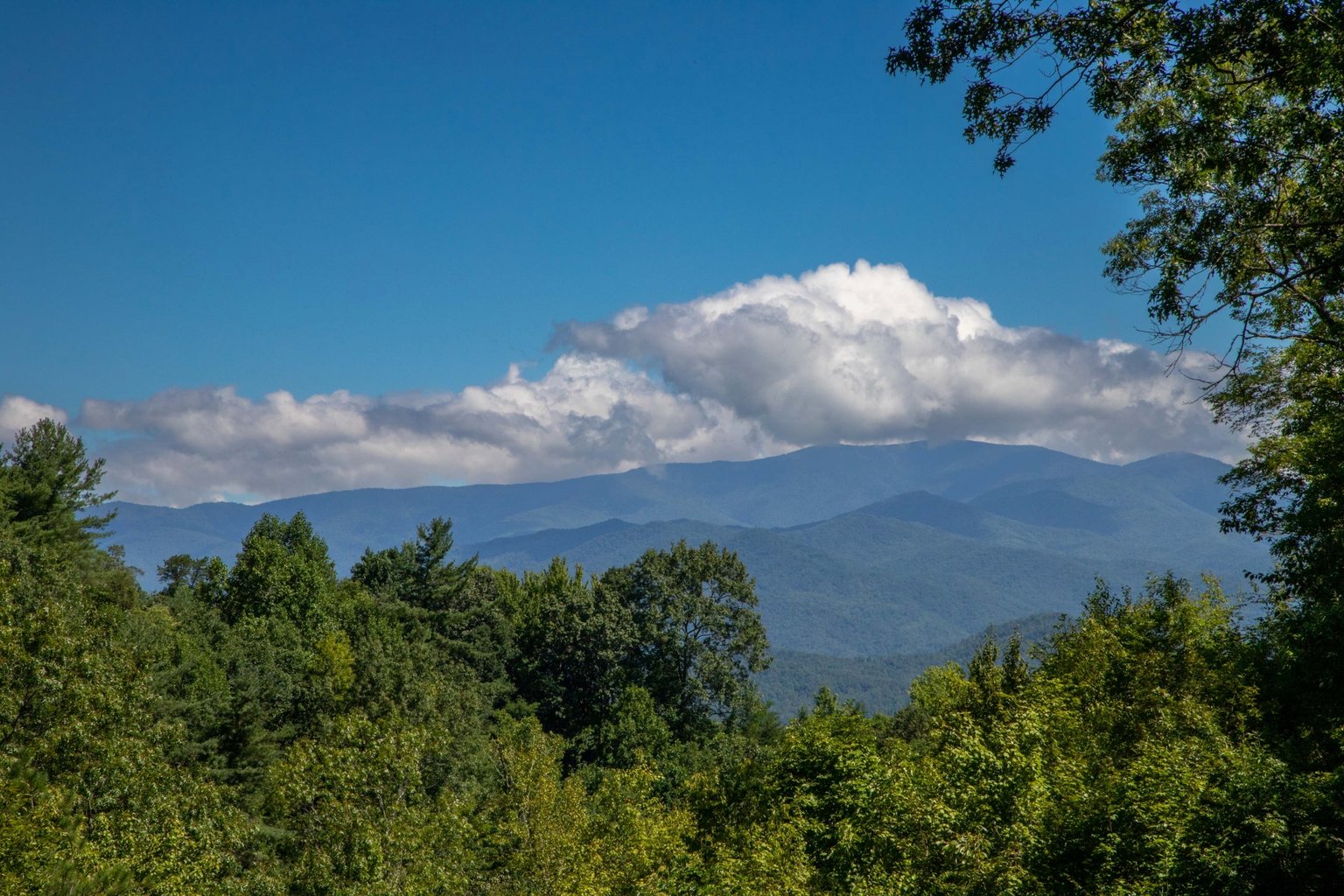 Almond Vacation Rental