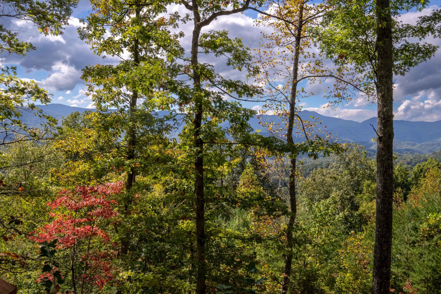 Whittier Vacation Rental