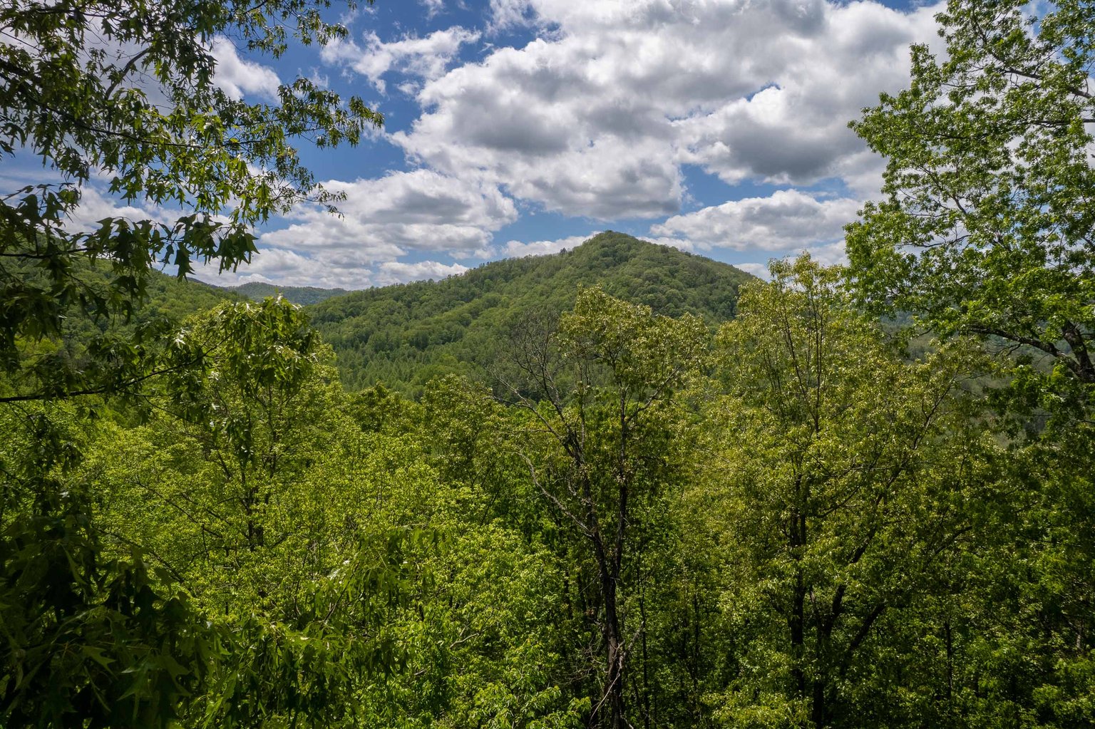 Bryson City Vacation Rental