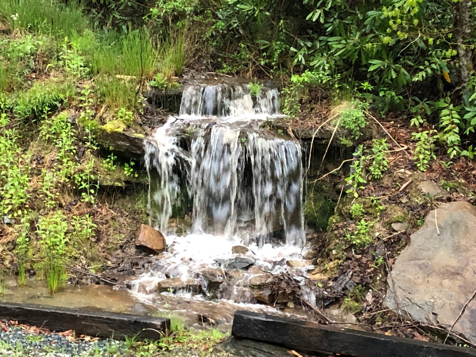 Almond Vacation Rental