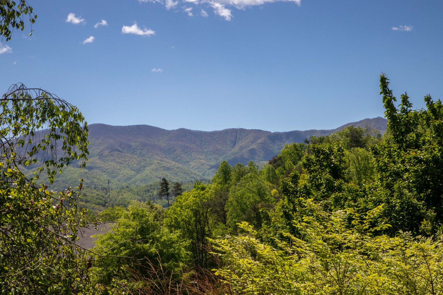 Bryson City Vacation Rental