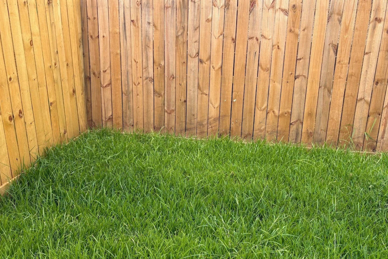 Houston Vacation Rental