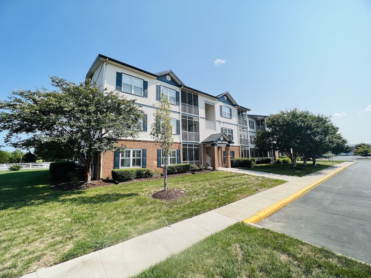 Lewes Vacation Rental