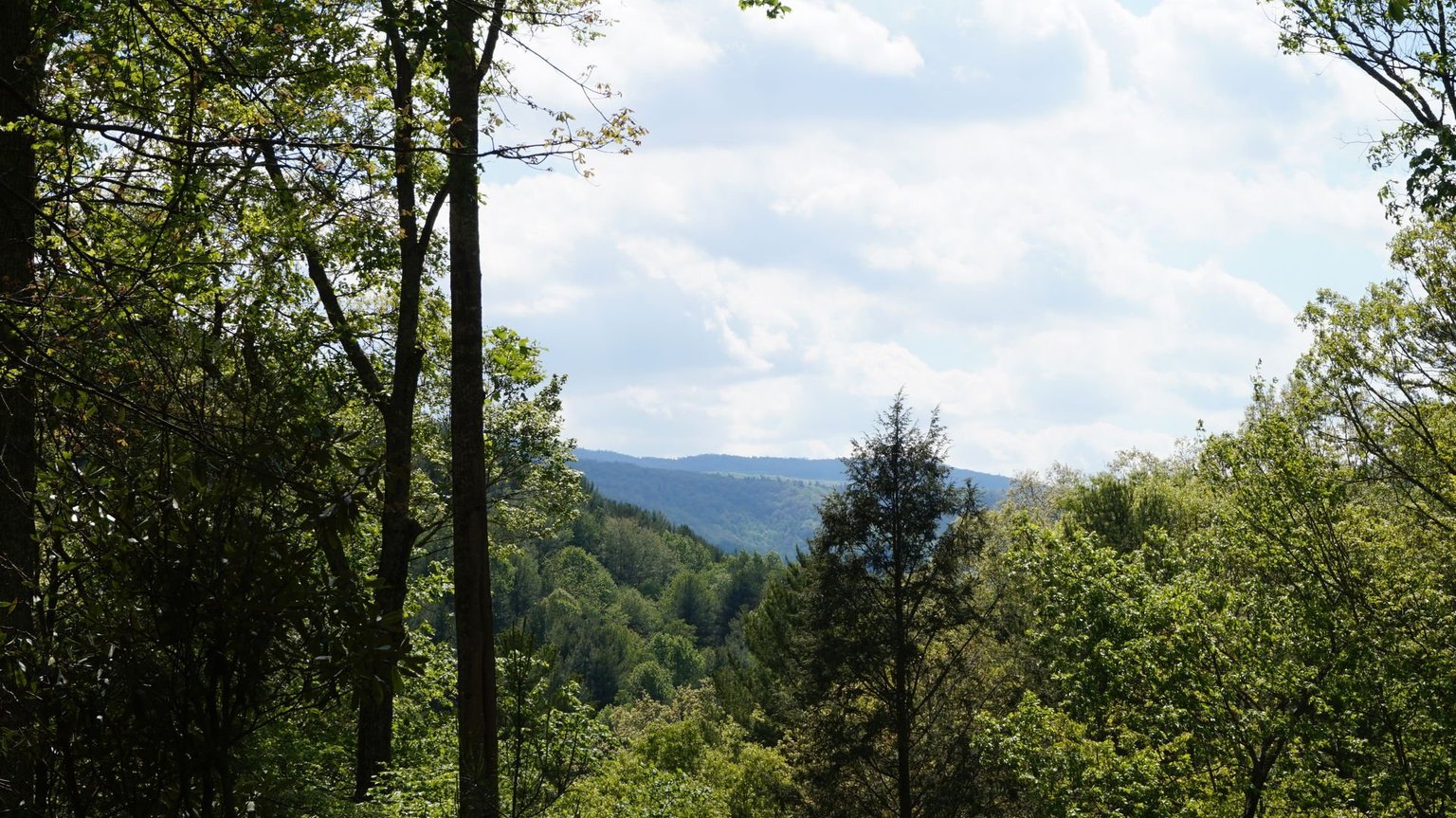 Vilas Vacation Rental