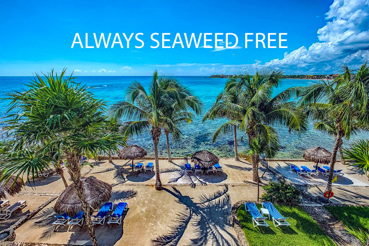 Akumal Vacation Rental