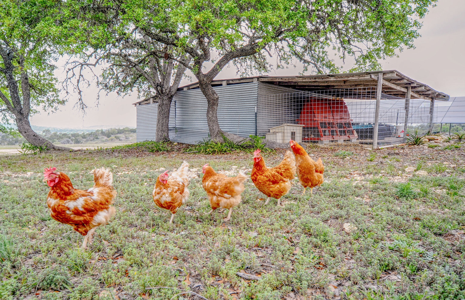 Center Point Vacation Rental