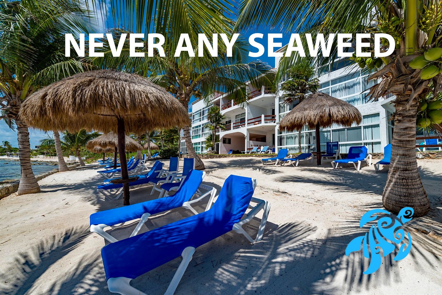 Akumal Vacation Rental