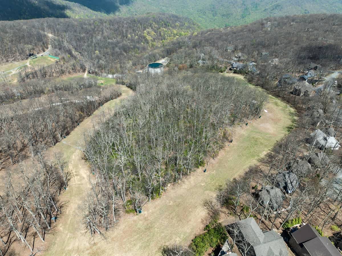 Wintergreen Resort Vacation Rental