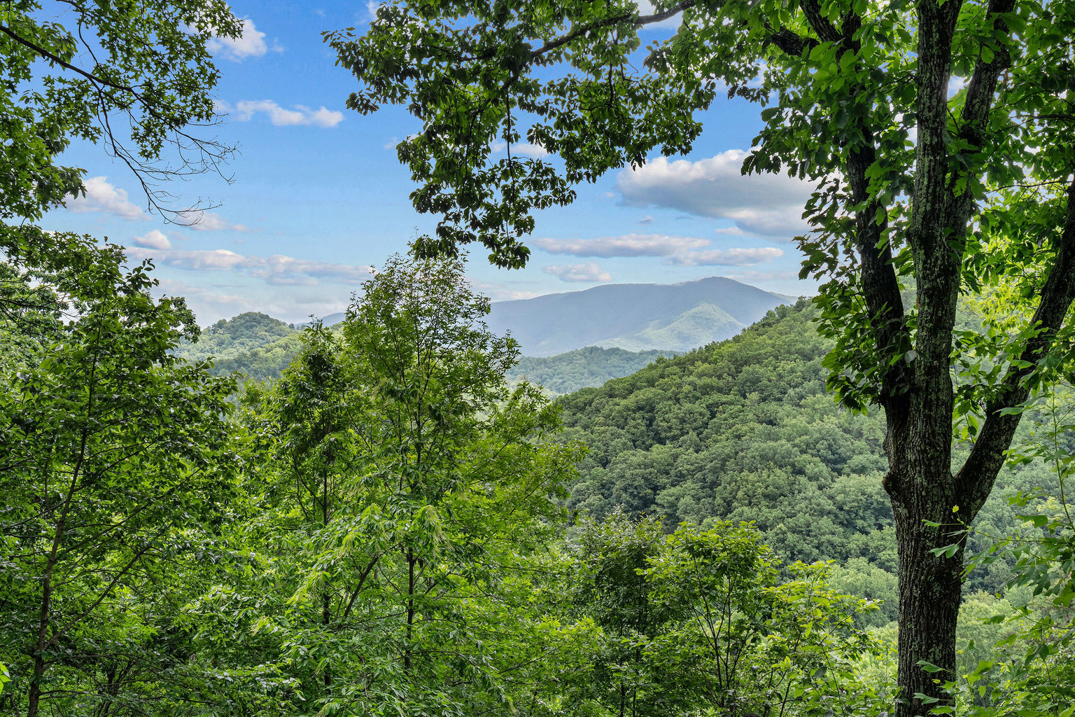 PIGEON FORGE Vacation Rental