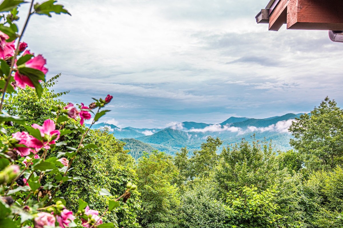 Sylva Vacation Rental