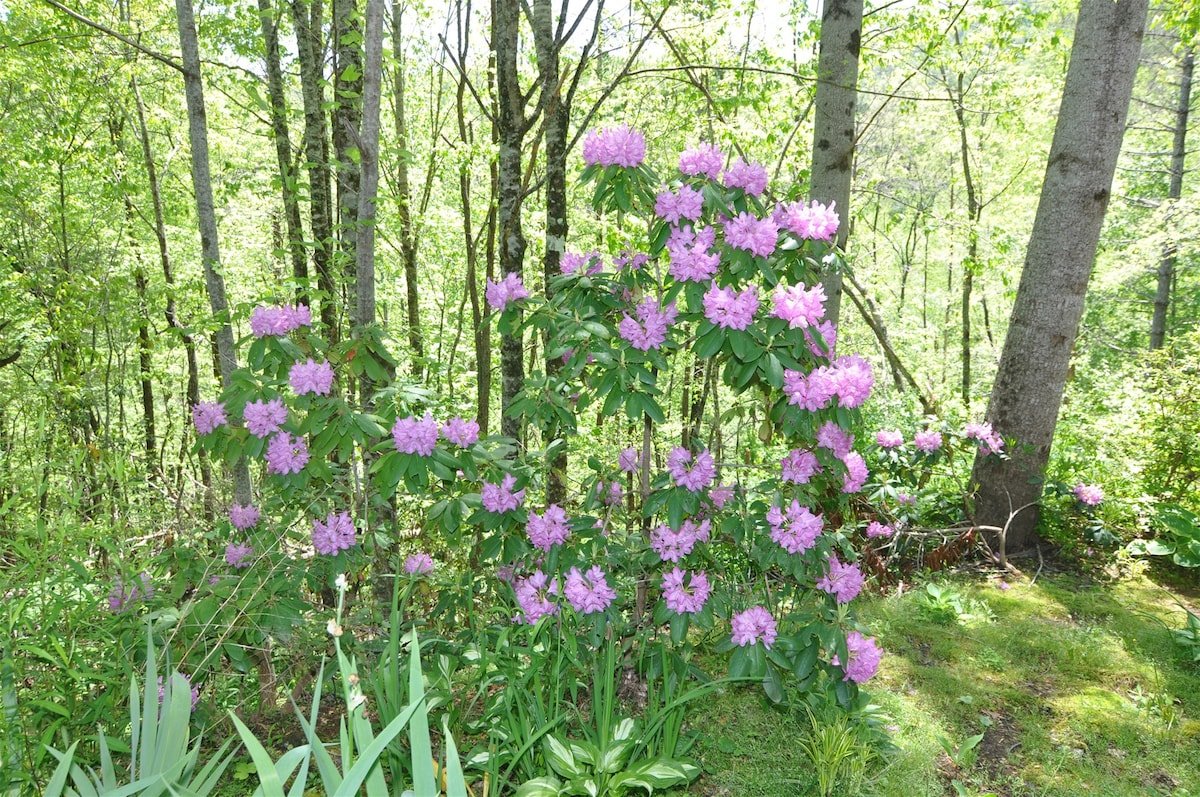 Bryson City Vacation Rental