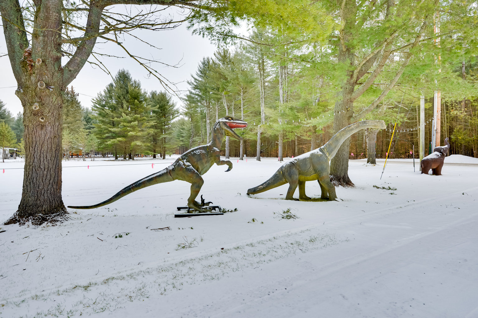 Glenfield Vacation Rental