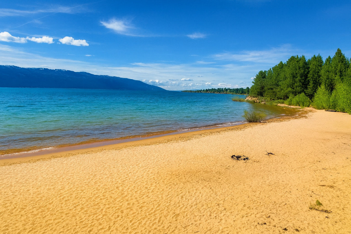 Cascade Vacation Rental