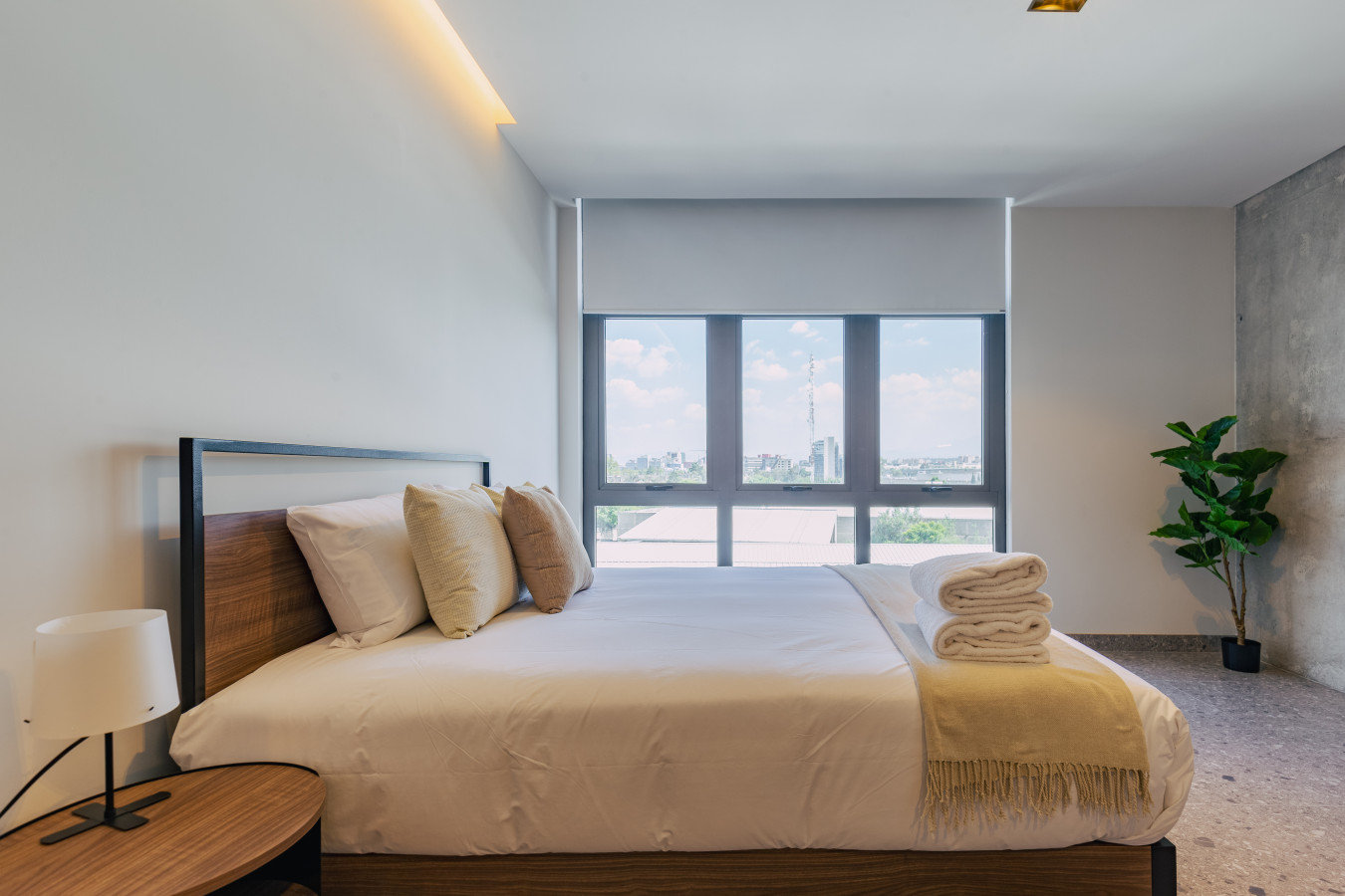 Ciudad de México Vacation Rental