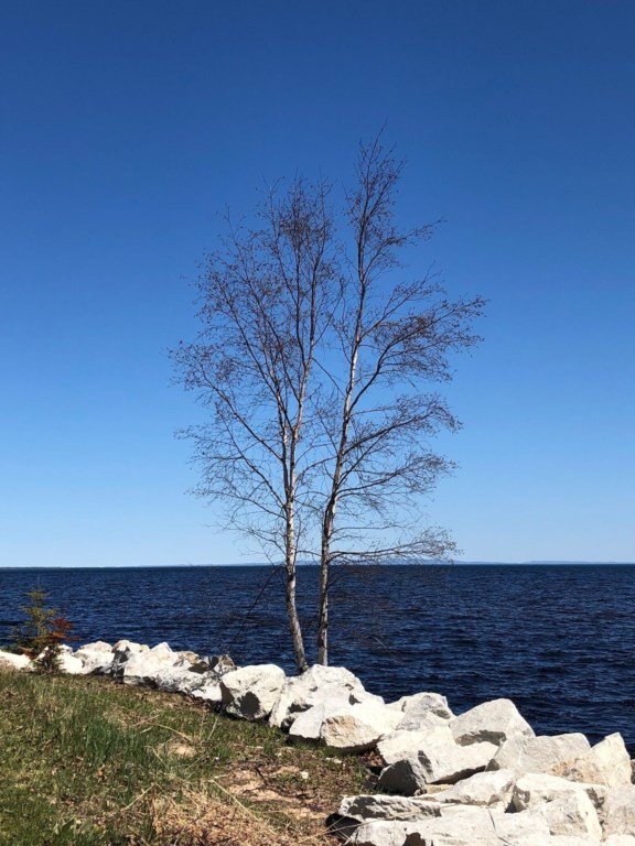 Paradise Vacation Rental