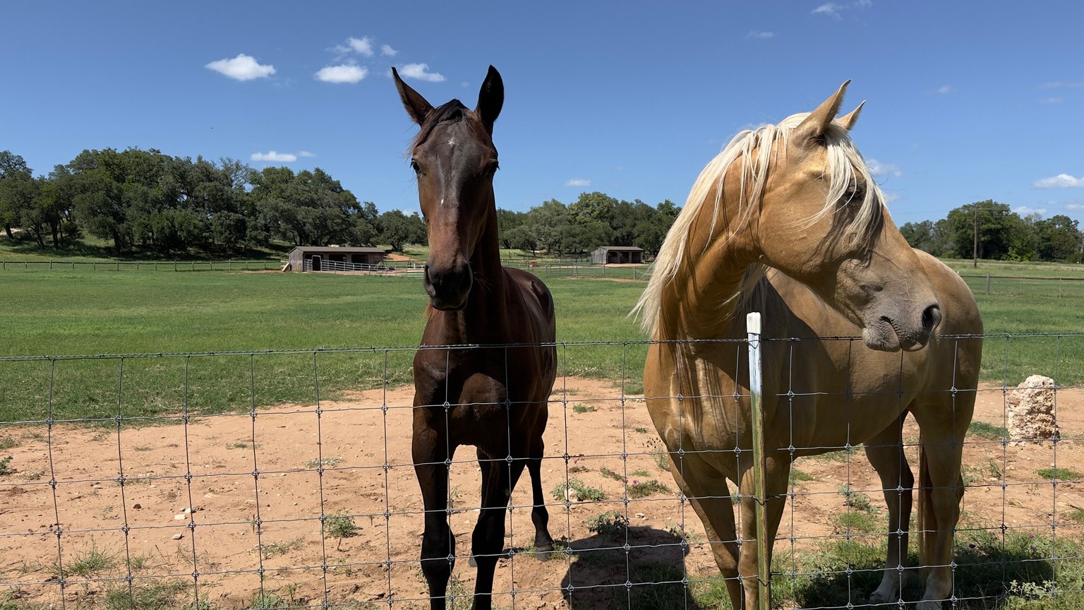 Fredericksburg Vacation Rental