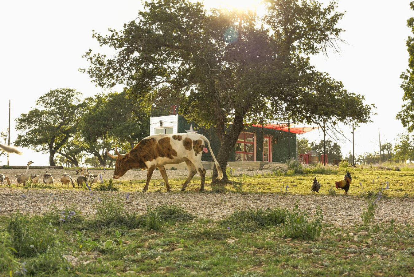 Fredericksburg Vacation Rental