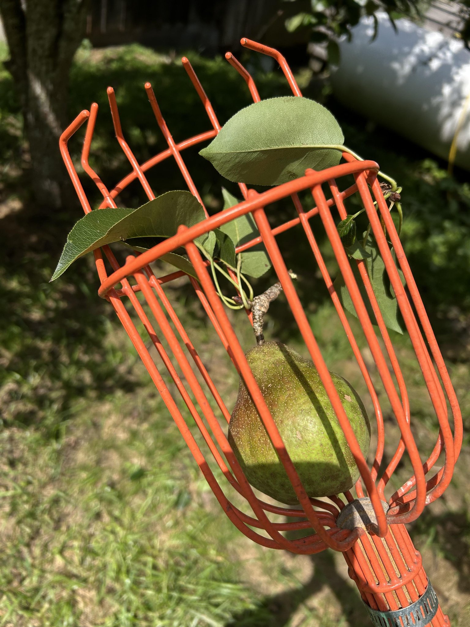 Weaverville Vacation Rental