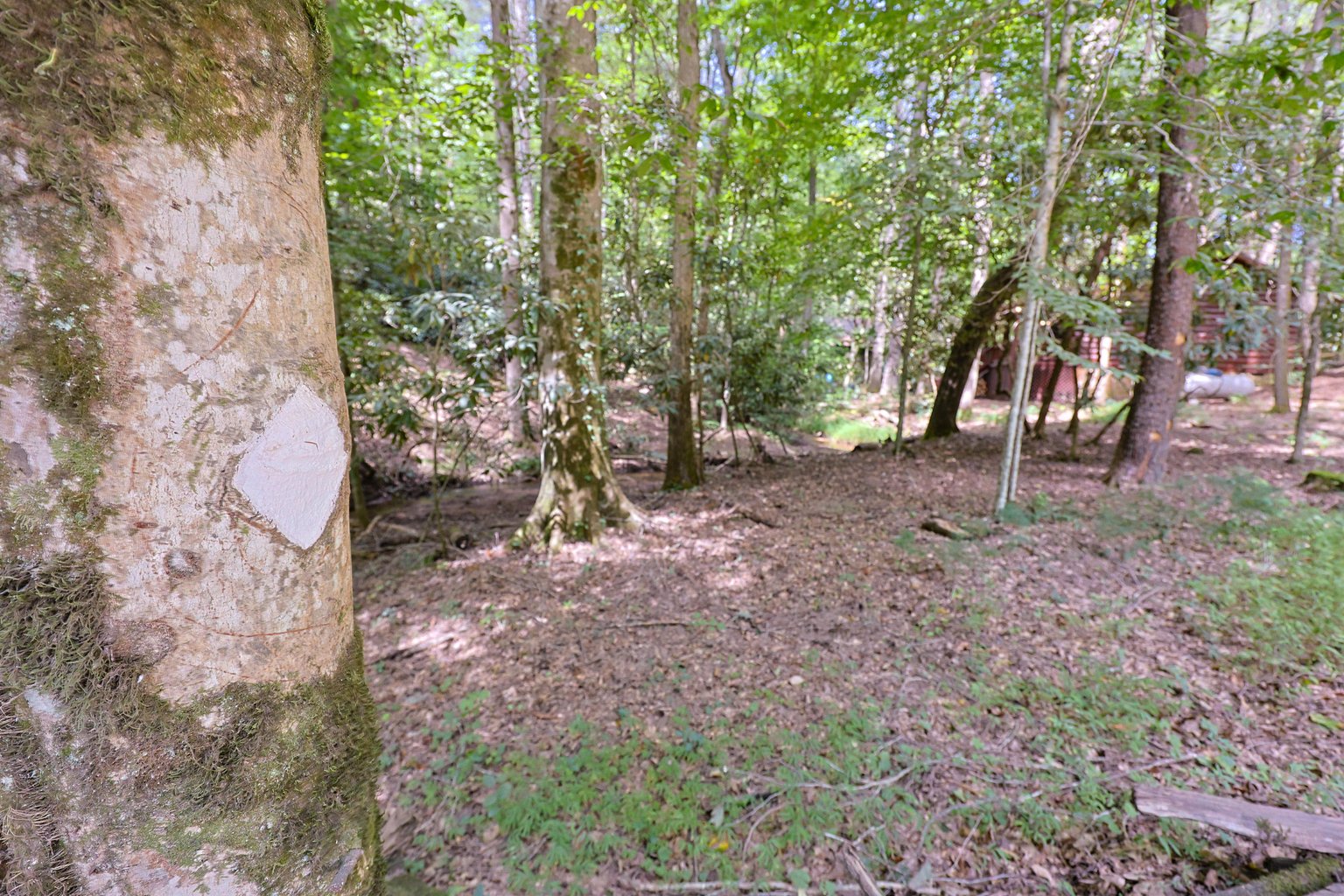 Blue Ridge Vacation Rental