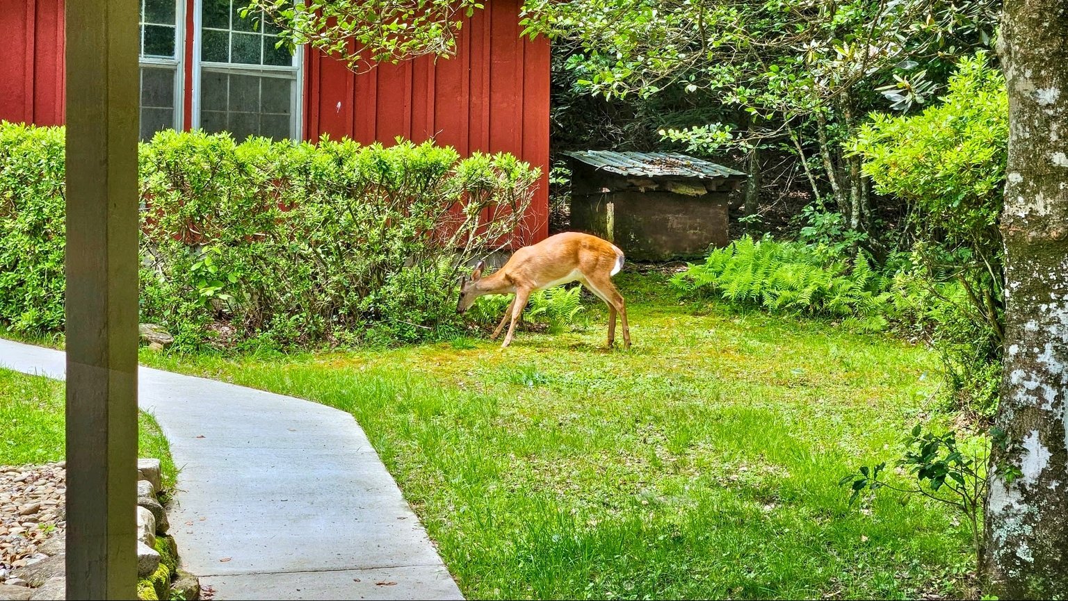 Highlands Vacation Rental