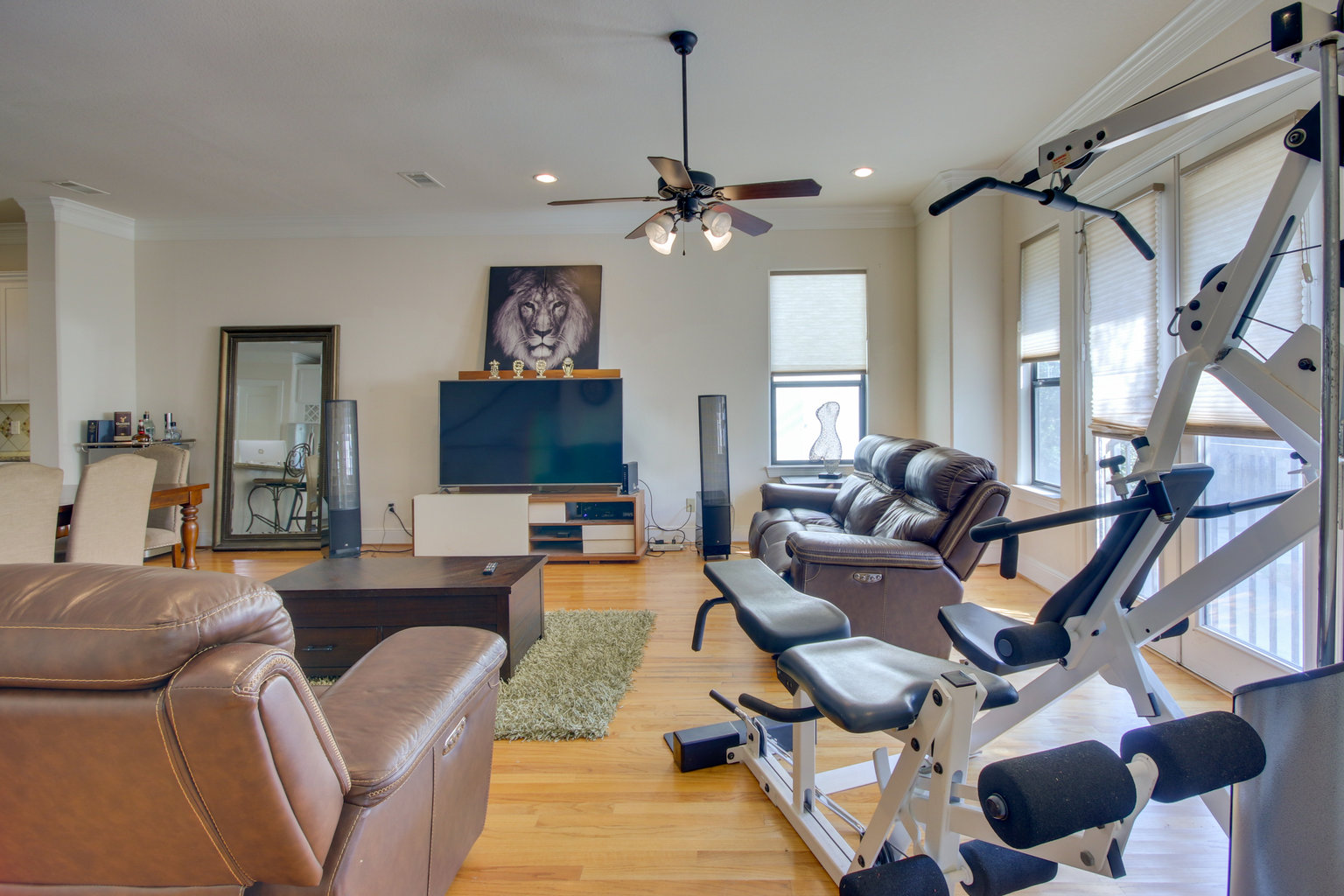 Houston Vacation Rental