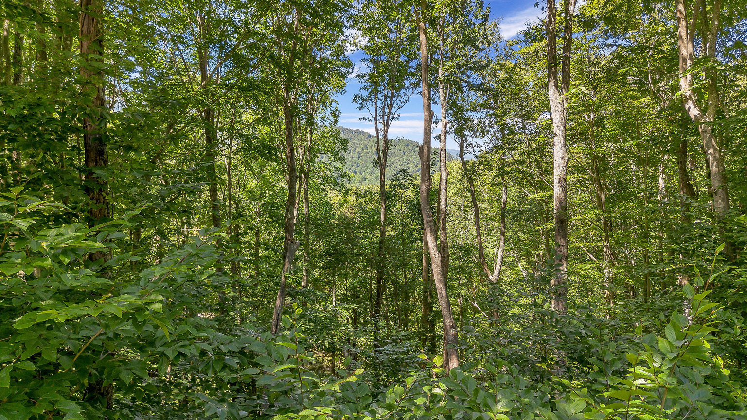 Lansing Vacation Rental