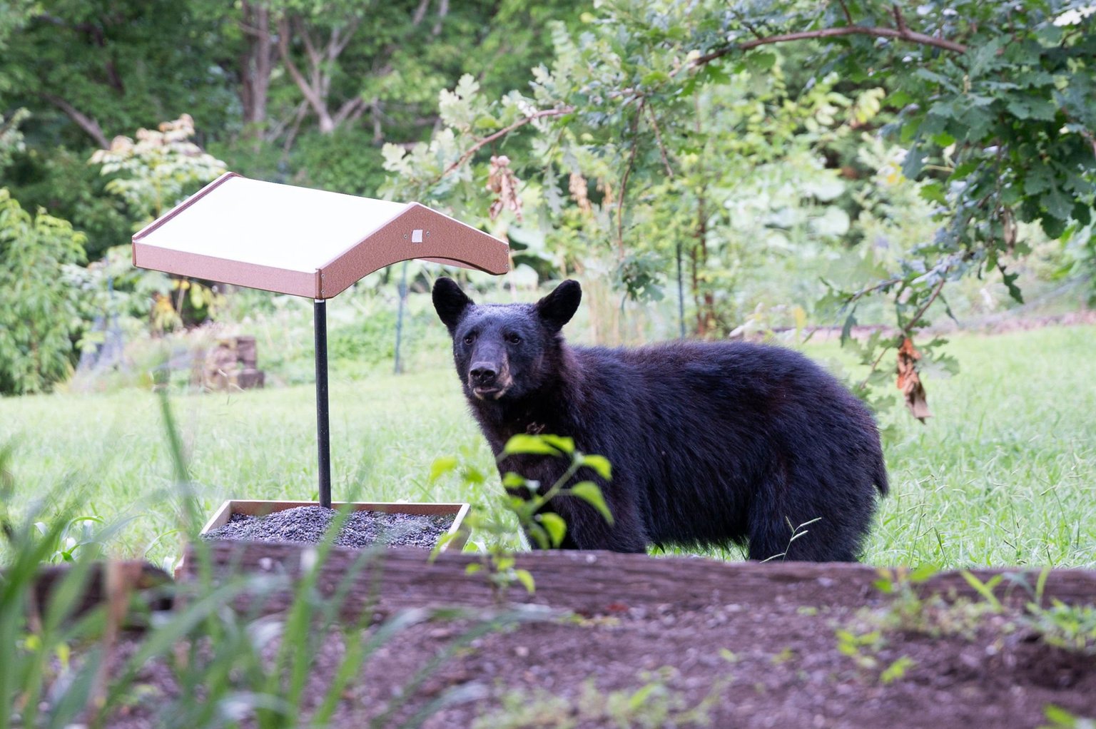 Sevierville Vacation Rental