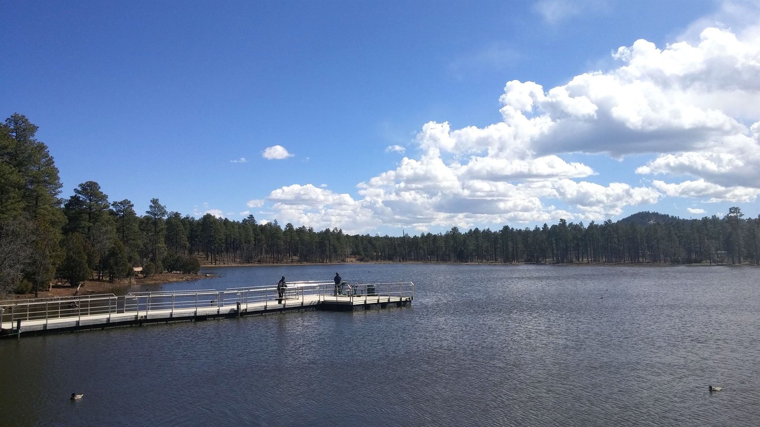 Pinetop Vacation Rental