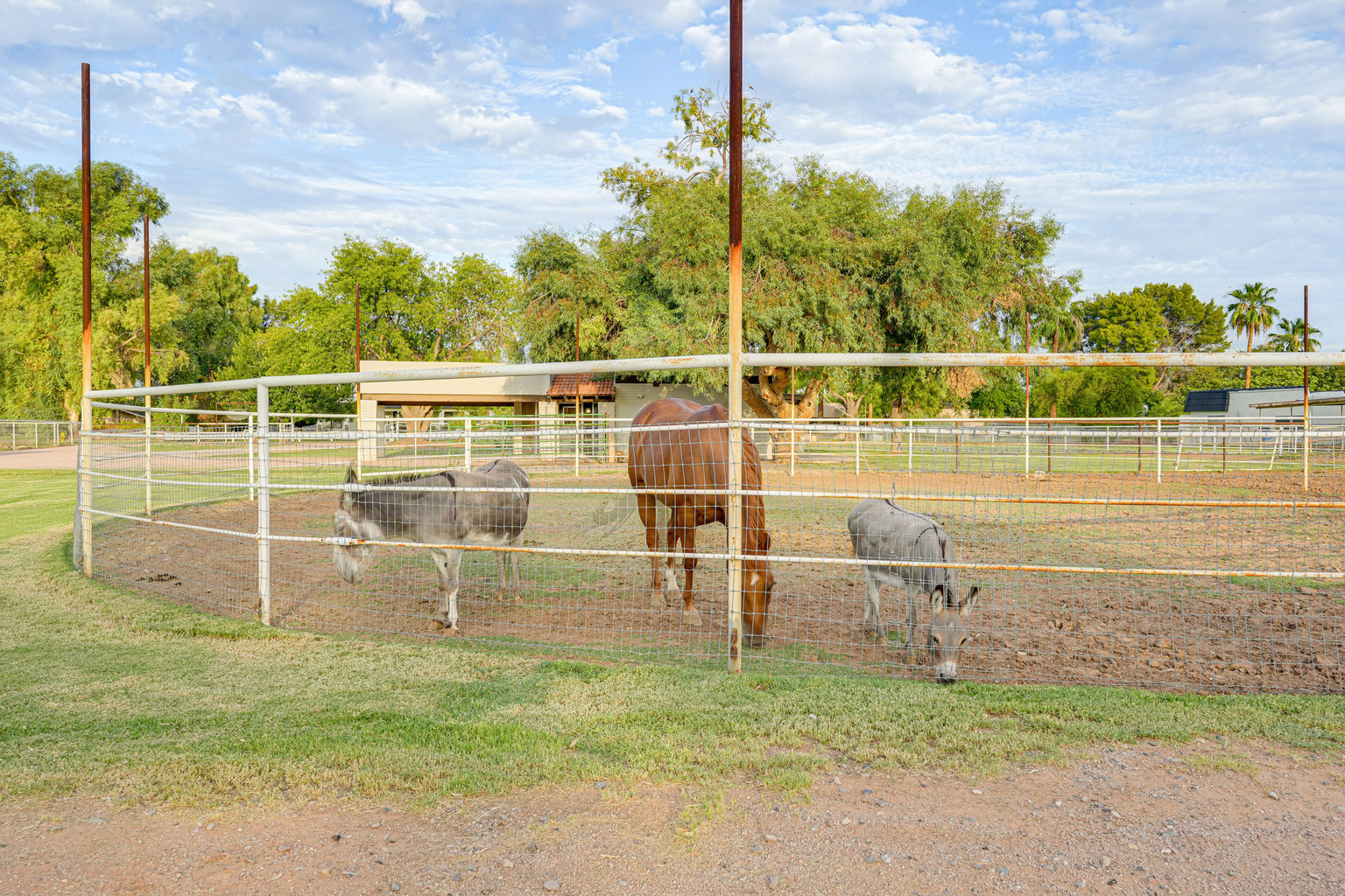 Gilbert Vacation Rental