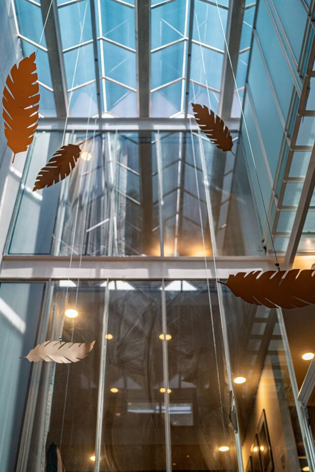 Mexico City Vacation Rental