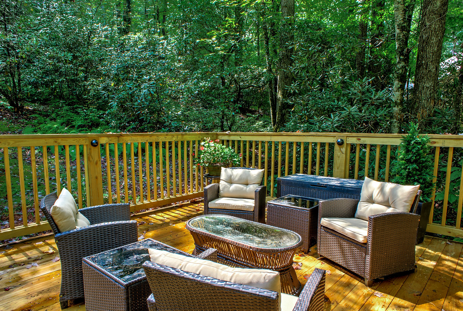 Sapphire Vacation Rental