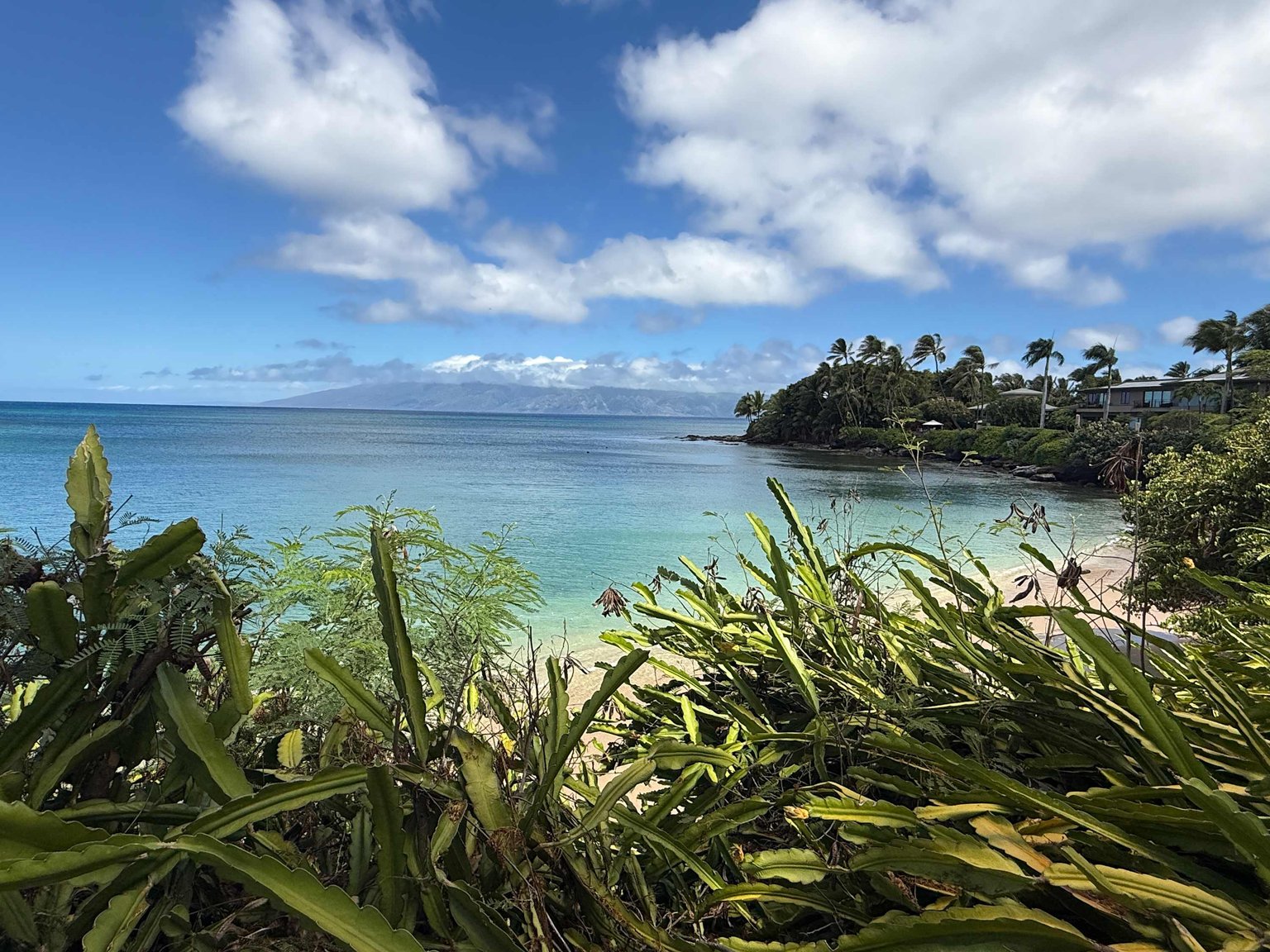 Lahaina Vacation Rental